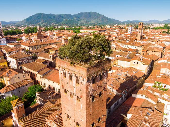 La Torre Guinigi di Lucca, da dove il giovane si sarebbe lanciato nel vuoto